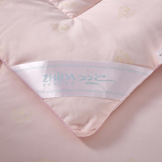 ZD·纤柔复合被被芯单双人2m 商品图1