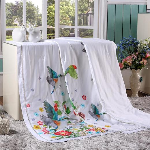 ZD·喜鸟起舞被芯309097010 商品图0