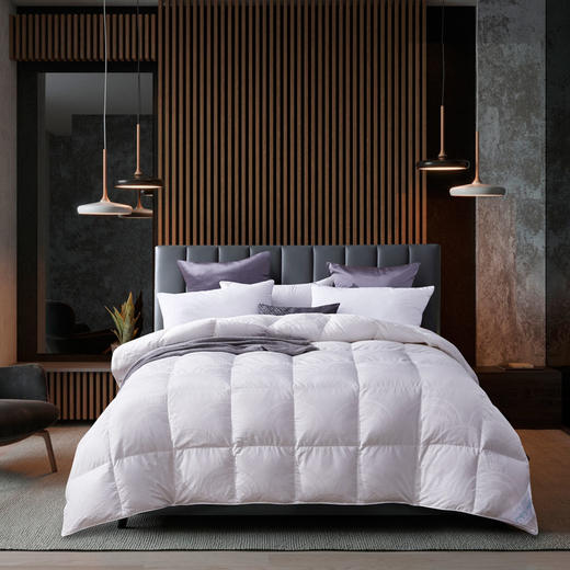 ZD·富贵鹅绒被芯加厚保暖被 商品图0