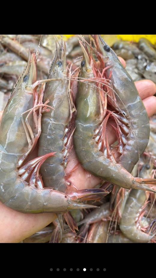 深海白虾虾尾白灼12分钟甜丝丝