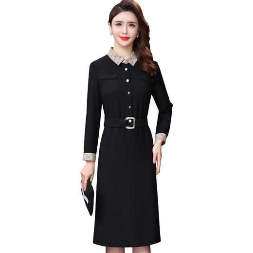 WXY-W-JR-1637新款秋法式赫本风收腰减龄轻熟女神范中长A字裙 商品图2