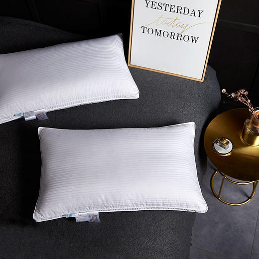 ZD·星级鹅绒枕单人枕头护颈椎 商品图1