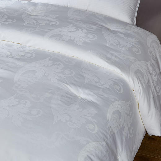 ZD·尊贵蚕丝被舒适被芯2m 商品图3