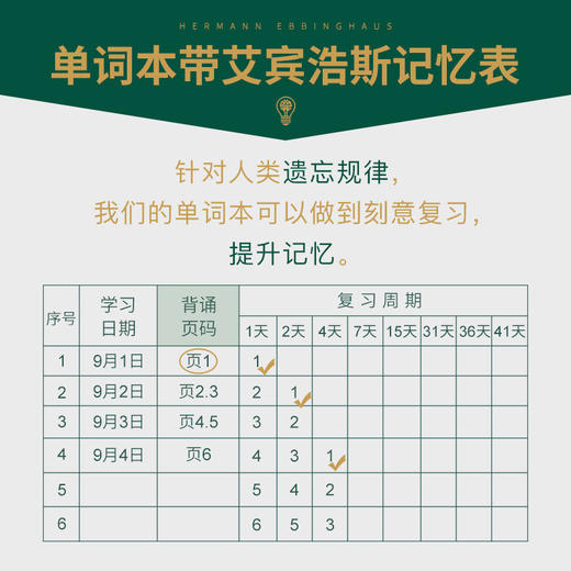 【背了不怕忘 随身携带】创意笔记本子批发 小学生记忆英语单词本 商品图6