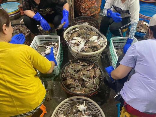 梭子蟹 商品图5