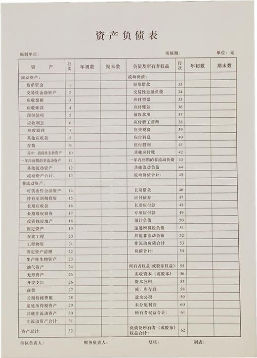 立信财务表格 商品图2