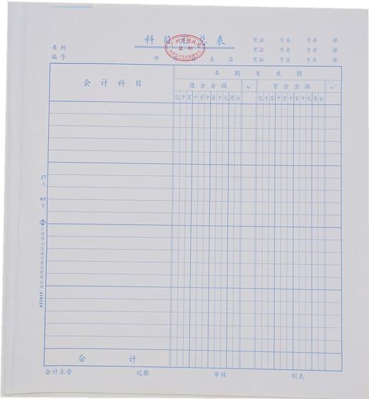 立信财务表格 商品图3