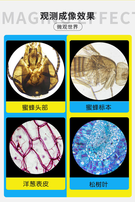 德国宝视德儿童科普显微镜小学生科学实验男女孩生日礼物便携玩具 商品图5