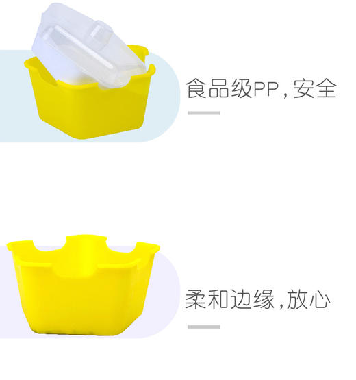 植物观察水培种植盆栽芽苗菜发芽生长 幼儿园小学生儿童科学实验 商品图6