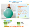 台湾WEPLAY原装进口幼儿园感统器材龙珠玩具儿童游戏瑜伽球 商品缩略图1