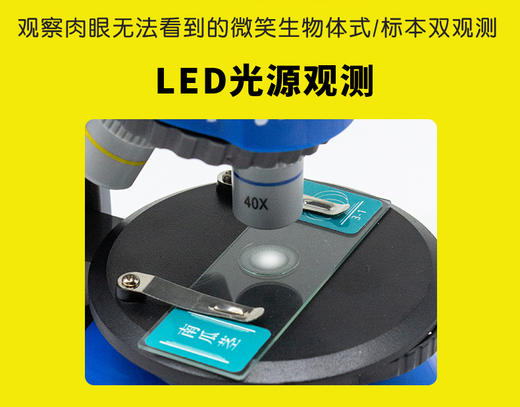 德国宝视德儿童科普显微镜小学生科学实验男女孩生日礼物便携玩具 商品图3