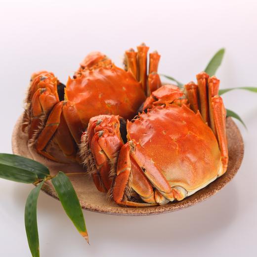 南航空厨俏蟹皇阳澄湖大闸蟹礼券（实体券包邮到家） 商品图2