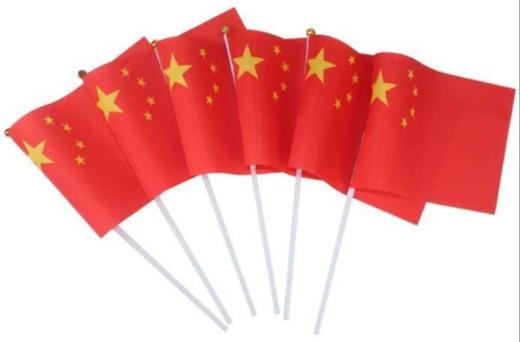 8号 小国旗学生跳舞道具幼儿园早操器械表演手摇红旗 商品图1