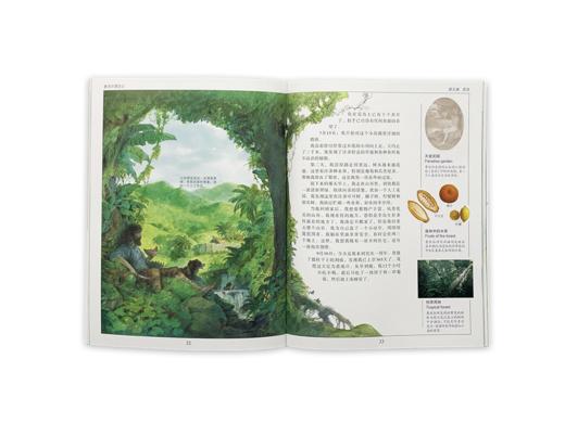 《DK彩绘经典名著》全16册 第一辑&第二辑 儿童名著经典美声配音 商品图12