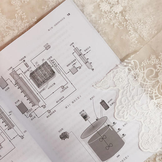 高浓度有机污水厌氧氨氧化工艺研究及应用 污水处理技术书籍 厌氧氨氧化工艺在高浓度有机污水中的应用 厌氧氨氧化工艺运行调控 商品图4