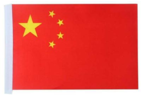 8号 小国旗学生跳舞道具幼儿园早操器械表演手摇红旗