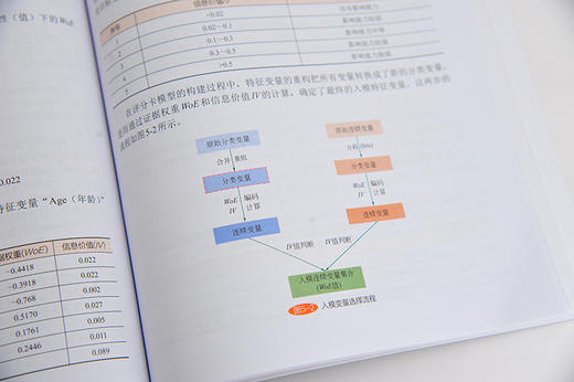 人工智能开发丛书 数据挖掘与机器学习 PMML建模 下 潘风文 黄春芳 PMML语言应用 PMML语法 PMML模型表达方式 数据挖掘 机器学习 商品图2