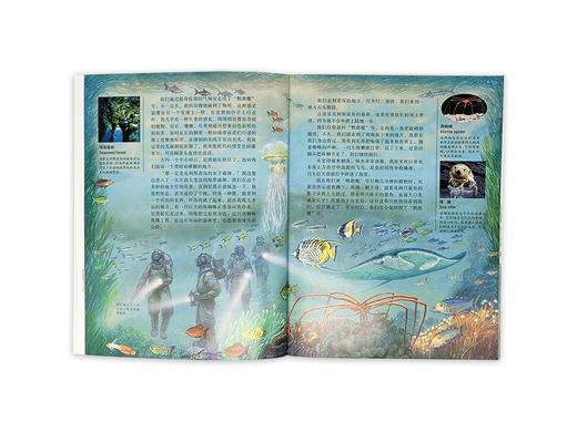 《DK彩绘经典名著》全16册 第一辑&第二辑 儿童名著经典美声配音 商品图11