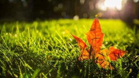 立秋后，做好“3防3养”，身体健康少生病！ 