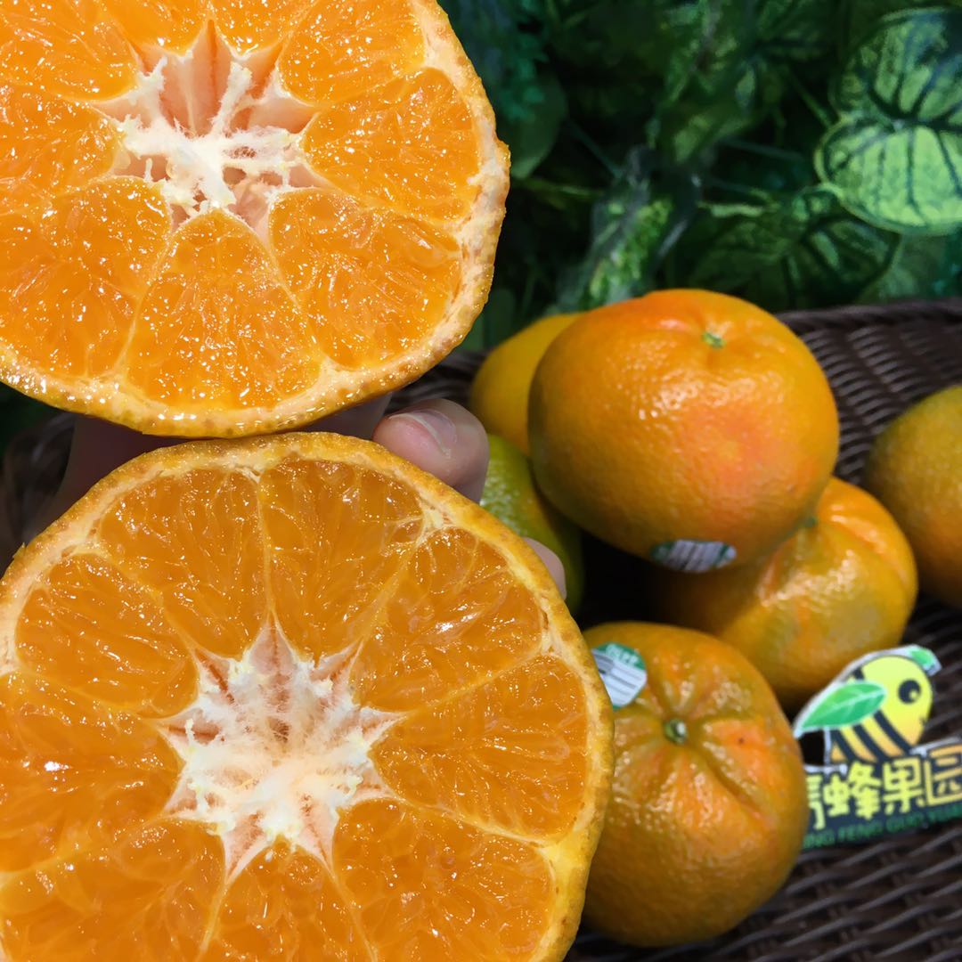 【特级】进口秘鲁柑桔