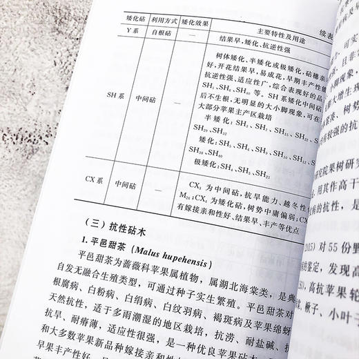 图说果树嫁接技术 苹果梨葡萄核桃枣桃樱桃柿等常见种果树嫁接技术书籍 果树的砧木接穗嫁接工具果树嫁接方法 果树栽培种植技术书 商品图3