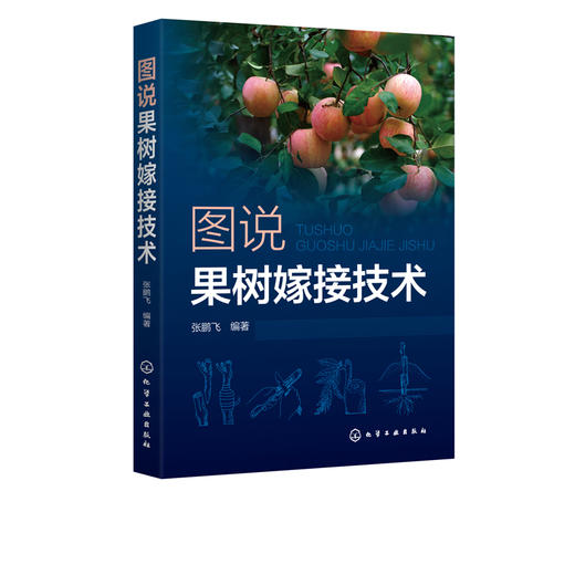 图说果树嫁接技术 苹果梨葡萄核桃枣桃樱桃柿等常见种果树嫁接技术书籍 果树的砧木接穗嫁接工具果树嫁接方法 果树栽培种植技术书 商品图5