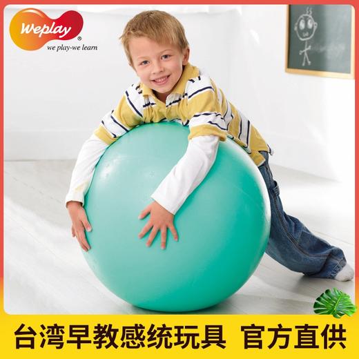 9—2环保平衡球 商品图0