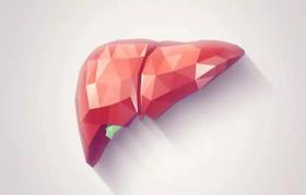  支持肝脏健康和排毒的3种最佳草药 