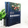 图说果树嫁接技术 苹果梨葡萄核桃枣桃樱桃柿等常见种果树嫁接技术书籍 果树的砧木接穗嫁接工具果树嫁接方法 果树栽培种植技术书 商品缩略图4