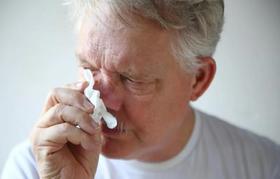  深呼吸：呼吸健康的十种最好的草药 