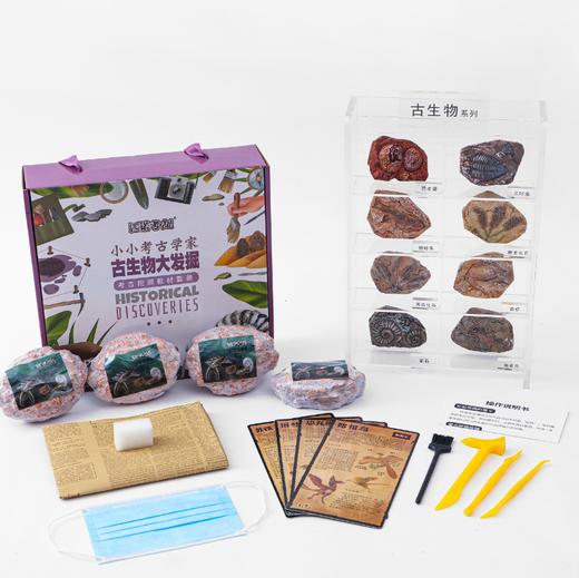 小小考古学家：考古教材版精装礼盒套装  （8个系列共16款可选） 商品图6