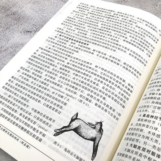 动物生理学考研考点解析及模拟测试 附真题 王丙云 陈胜锋 全国硕士研究生动物生理学考试辅导教材用书 历年真题书籍 解题技巧 商品图4