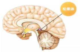  睡不着的人越来越多，很有可能都是这个问题！ 