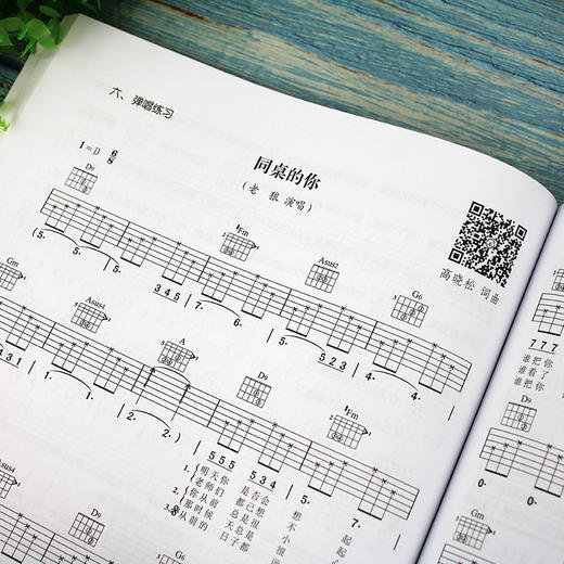 吉他入门一本通 弹唱示范版 吉他教学书 零基础入门教程初学者弹唱曲谱流行歌曲音乐书籍 谣吉他谱乐理指弹吉他教材 商品图3