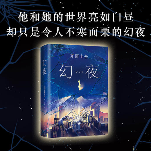幻夜 东野圭吾 著 外国文学小说 悬疑青春 名家名作 图书 商品图2