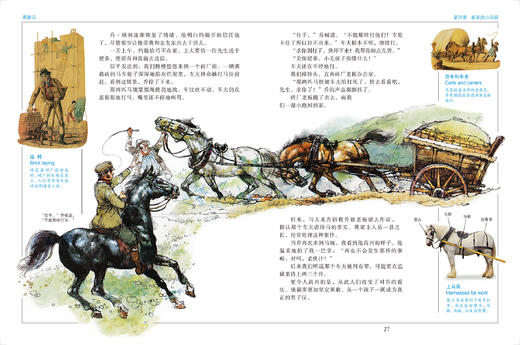 《DK彩绘经典名著》全16册 第一辑&第二辑 儿童名著经典美声配音 商品图10