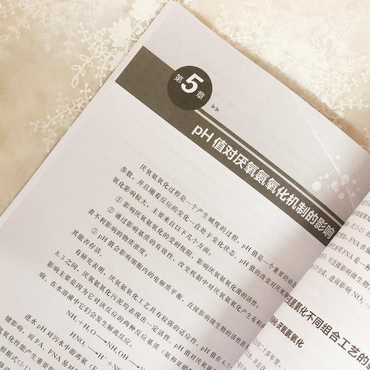 高浓度有机污水厌氧氨氧化工艺研究及应用 污水处理技术书籍 厌氧氨氧化工艺在高浓度有机污水中的应用 厌氧氨氧化工艺运行调控 商品图5