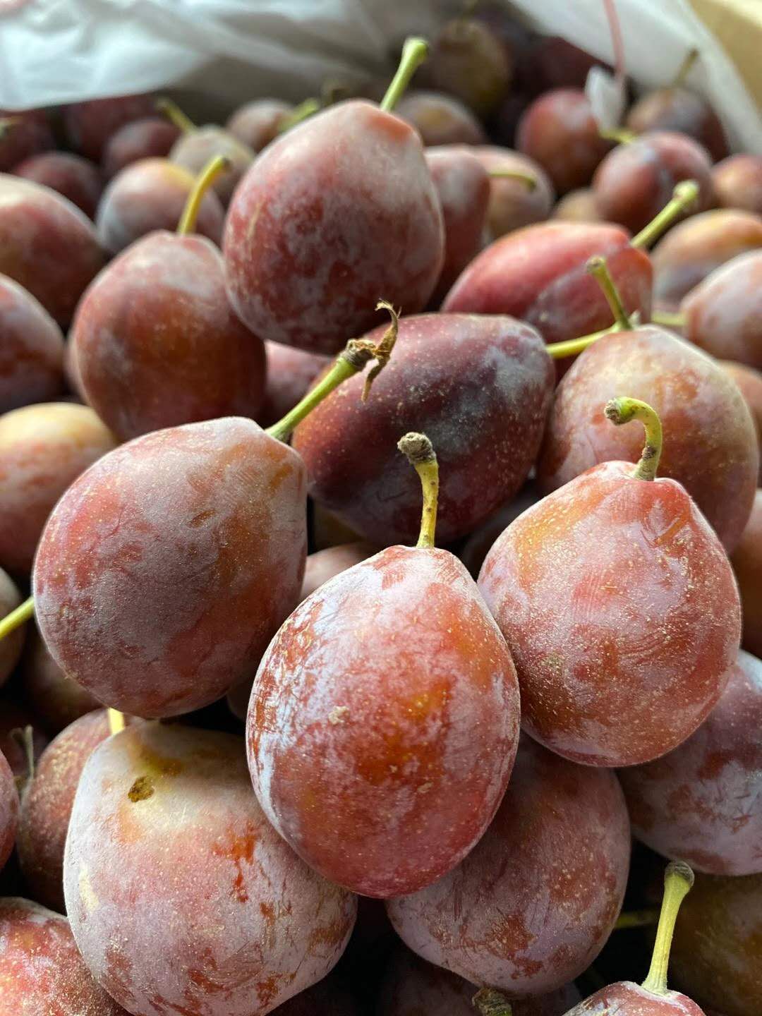 【新疆西梅】 饱满而紧实的果肉 ,一股透着清香的