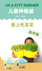 植物观察水培种植盆栽芽苗菜发芽生长 幼儿园小学生儿童科学实验 商品缩略图1