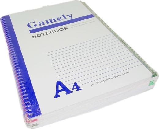 顺达线圈笔记本 商品图2