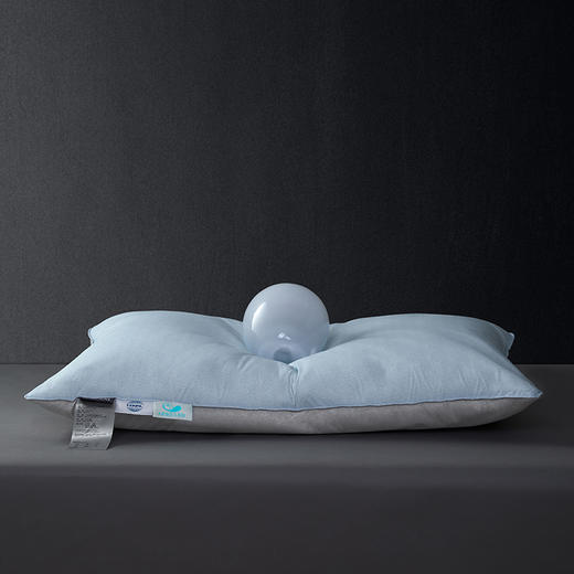 心愿婴儿级防螨羽绒枕 商品图2