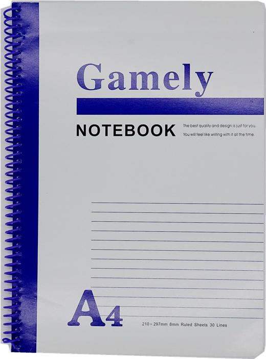 顺达线圈笔记本 商品图0