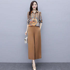 HT-DSD-201-8870-551秋季新款时尚百搭阔腿裤两件套