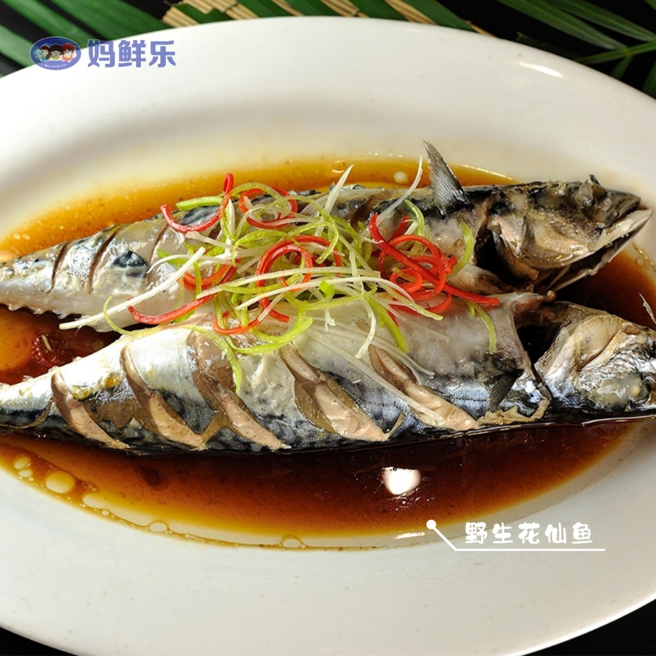 花仙鱼也称青花鱼纯野生海鱼活捕上岸杀好急冻尝鲜价246元斤