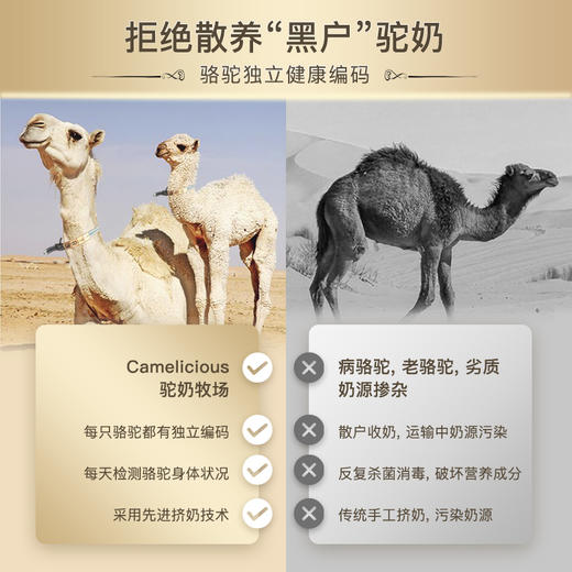 CAMILK卡米克驼奶片，迪拜原产，甄选好奶 商品图4
