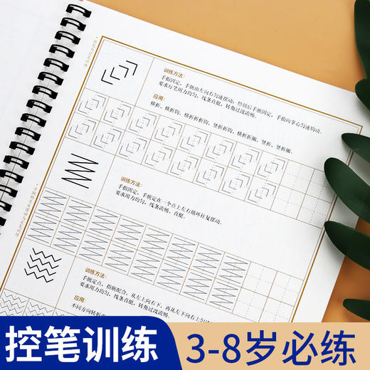 控笔训练字帖硬笔书法成人初学练字儿童入门笔画偏旁临摹凹槽字帖 商品图1