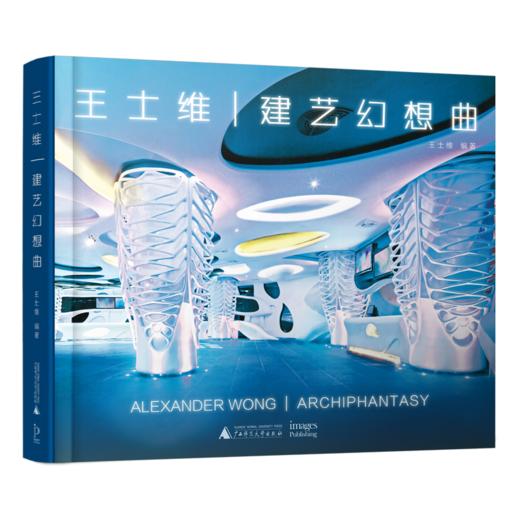 王士维 | 建艺幻想曲 商品图0