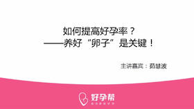 茹慧波医生：如何提高好孕率？-----养好“卵泡”是关键！