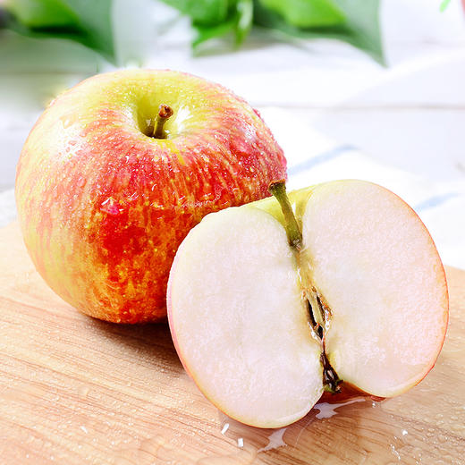 果园直发陕西嘎啦苹果 5/10斤装 商品图2