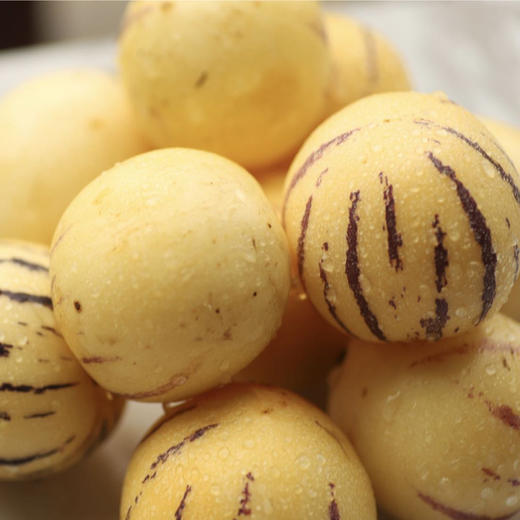 #伍叔会员日专属#【云南 • 石林人参果】风化土质种植 圆果圆润 清香多汁 腹内无核 生津止渴 孕妇宝宝的营养水果 商品图1